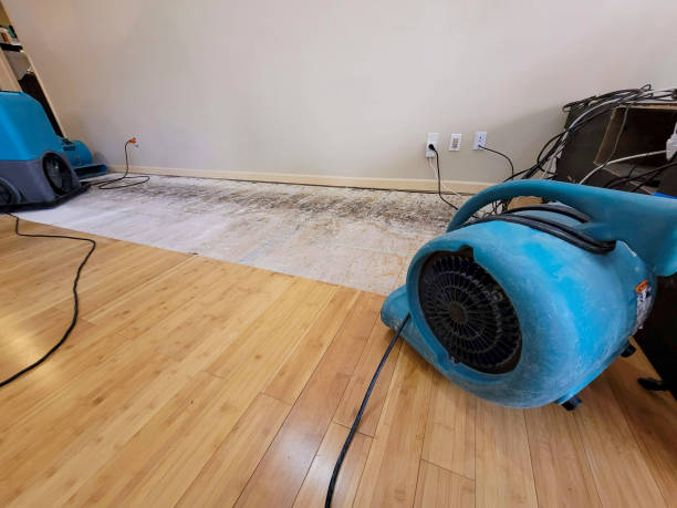 Professional Basement Flood Cleanup technician working in Clifton, TX
